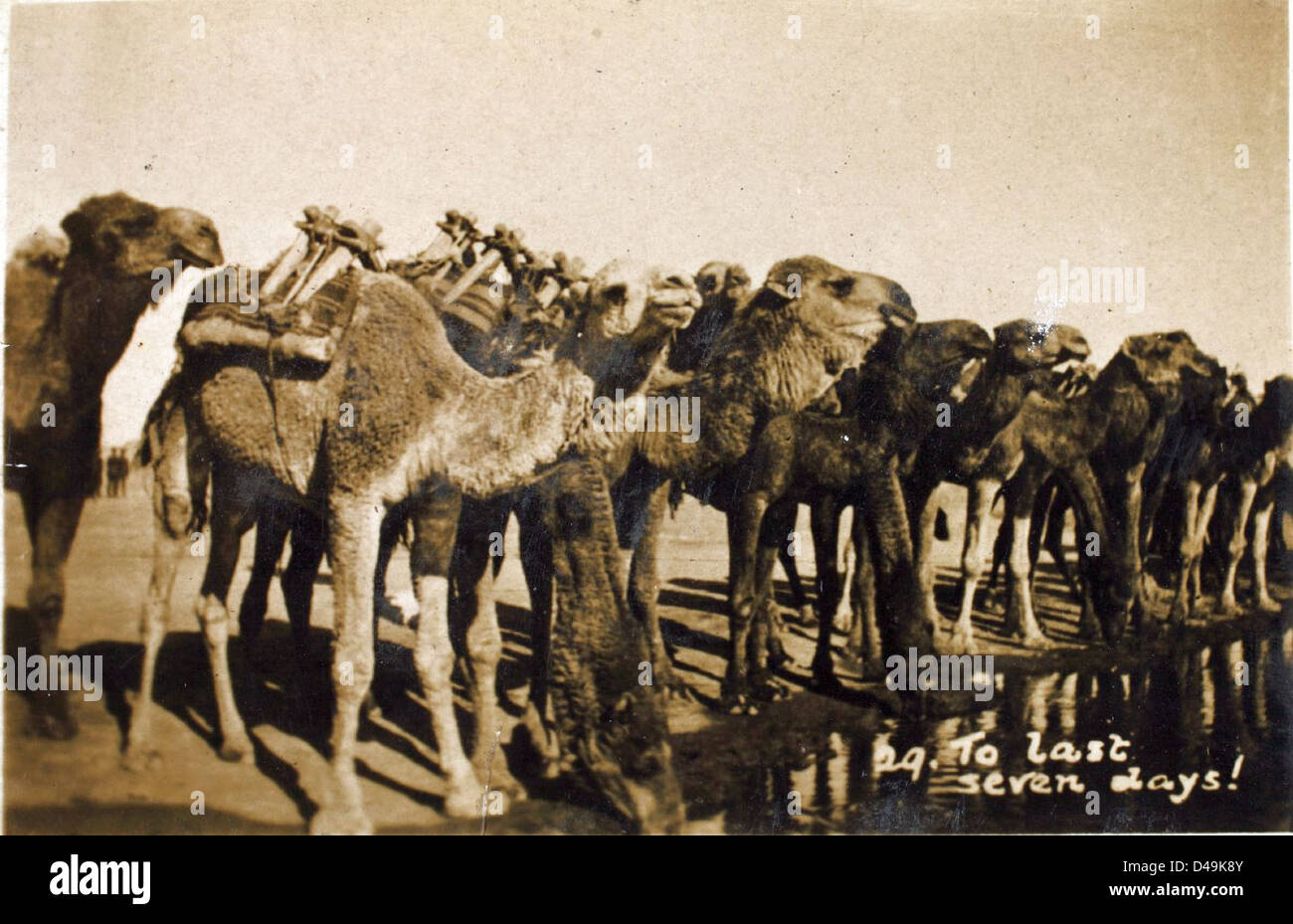 Questa fotografia, scattata da Edwin Newman, cattura l'atmosfera vivace dell'East End di Baghdad durante un periodo di significativi cambiamenti storici in Iraq. L'immagine riflette l'ambiente socio-politico del Medio Oriente, fornendo una visione della vita quotidiana e dell'ambiente urbano durante la fine del XX secolo. Foto Stock
