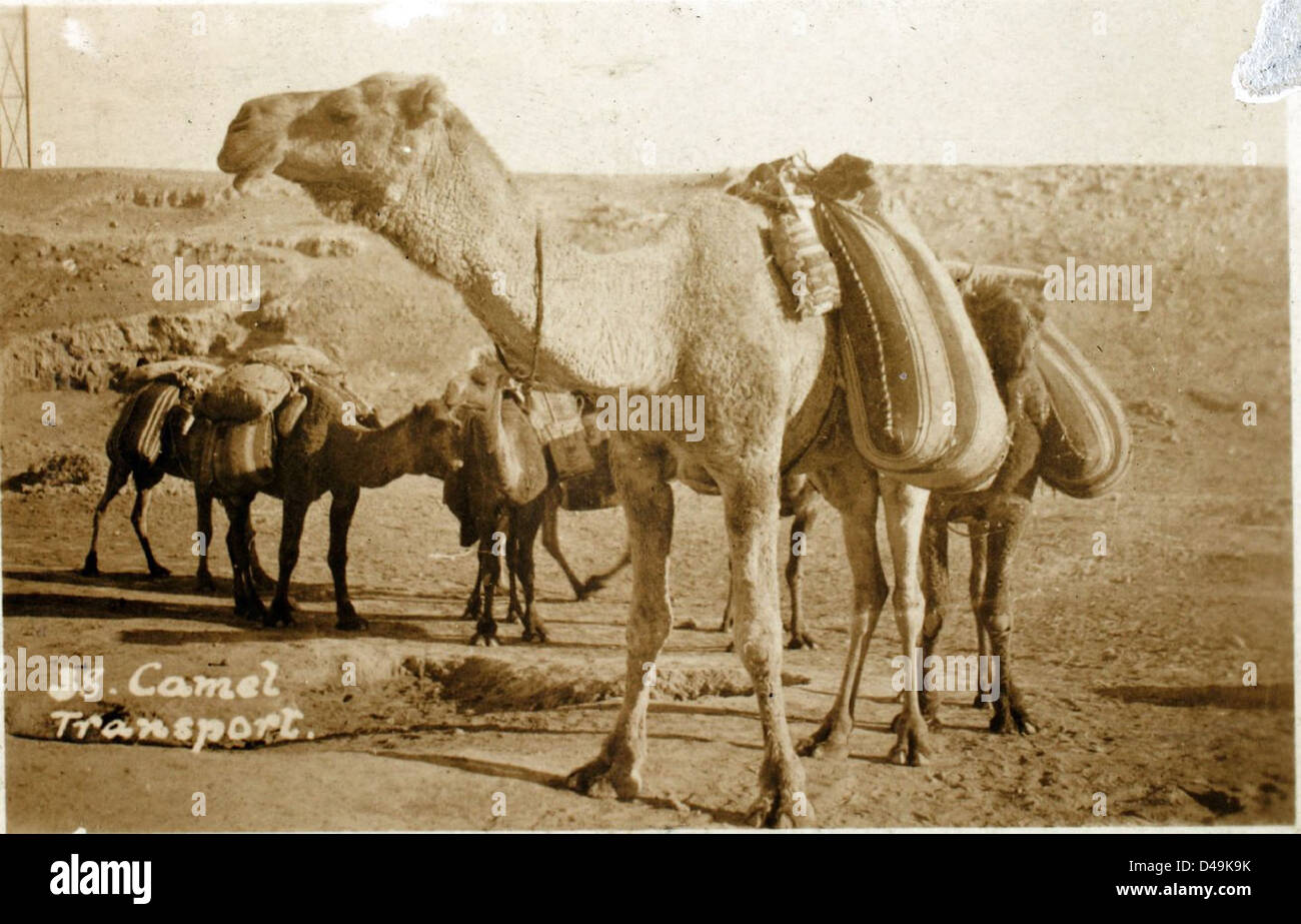 Una fotografia intitolata "Baghdad - East End" di Edwin Newman, che cattura un momento in Medio Oriente. L'immagine riflette la presenza della RAF durante un periodo significativo nella storia della regione, specificamente legato alle operazioni della Royal Air Force in Iraq. Foto Stock