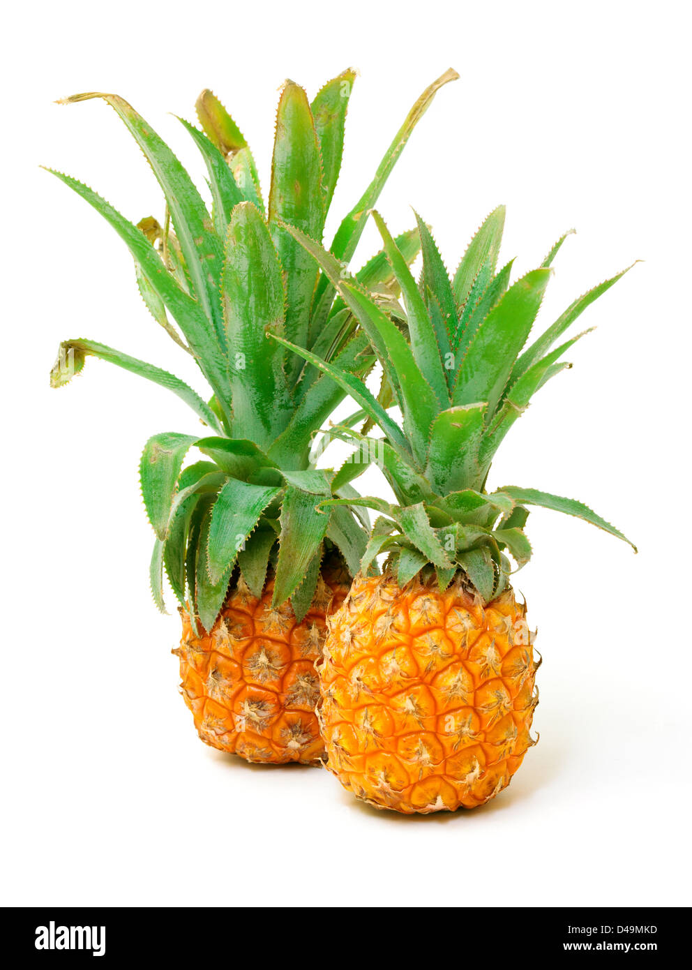 Di ananas maturo frutta, isolati su sfondo bianco Foto Stock