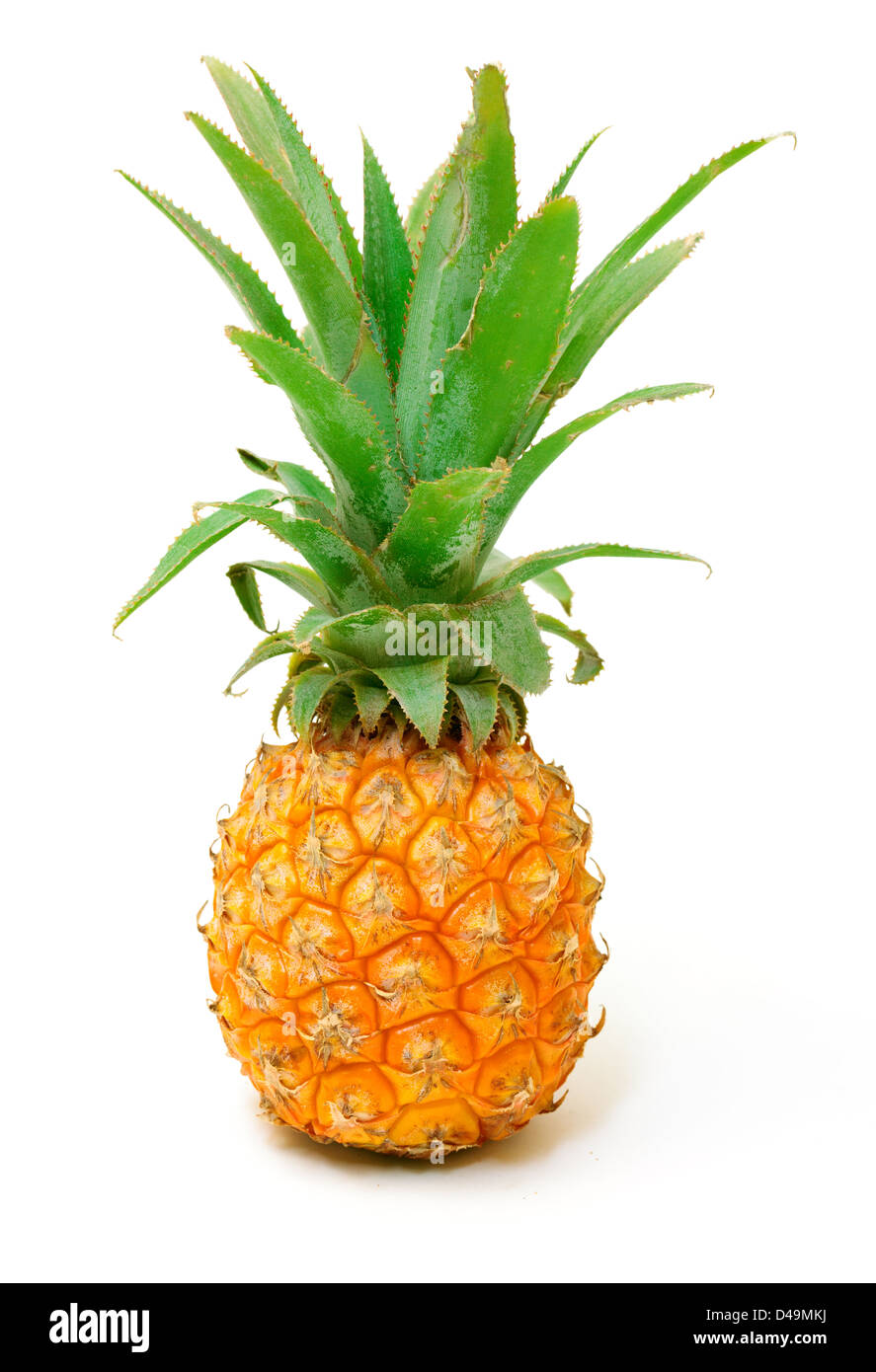 Di ananas maturo frutta, isolati su sfondo bianco Foto Stock