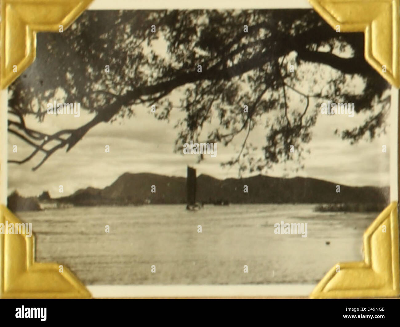 Tascher 00185 è un'immagine correlata al 341st Bomb Group, che mette in evidenza in particolare l'aereo B-25 Mitchell, spesso associato a missioni durante la seconda guerra mondiale. Questo aereo è stato fondamentale nelle operazioni di bombardamento. Foto Stock