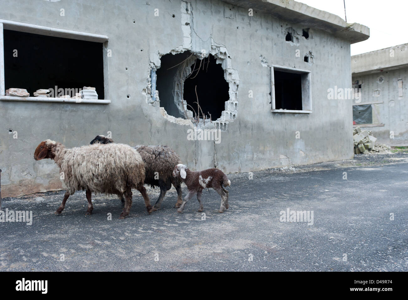 Una città distrutta dal regime di Assad, Apamea, Siria Foto Stock