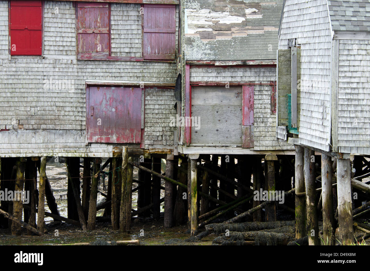 Un fatiscente grigio-magazzino incastrata appollaiato sul registro di antiche palificazioni ancora sport persiane rosse; Lubec, Maine. Foto Stock