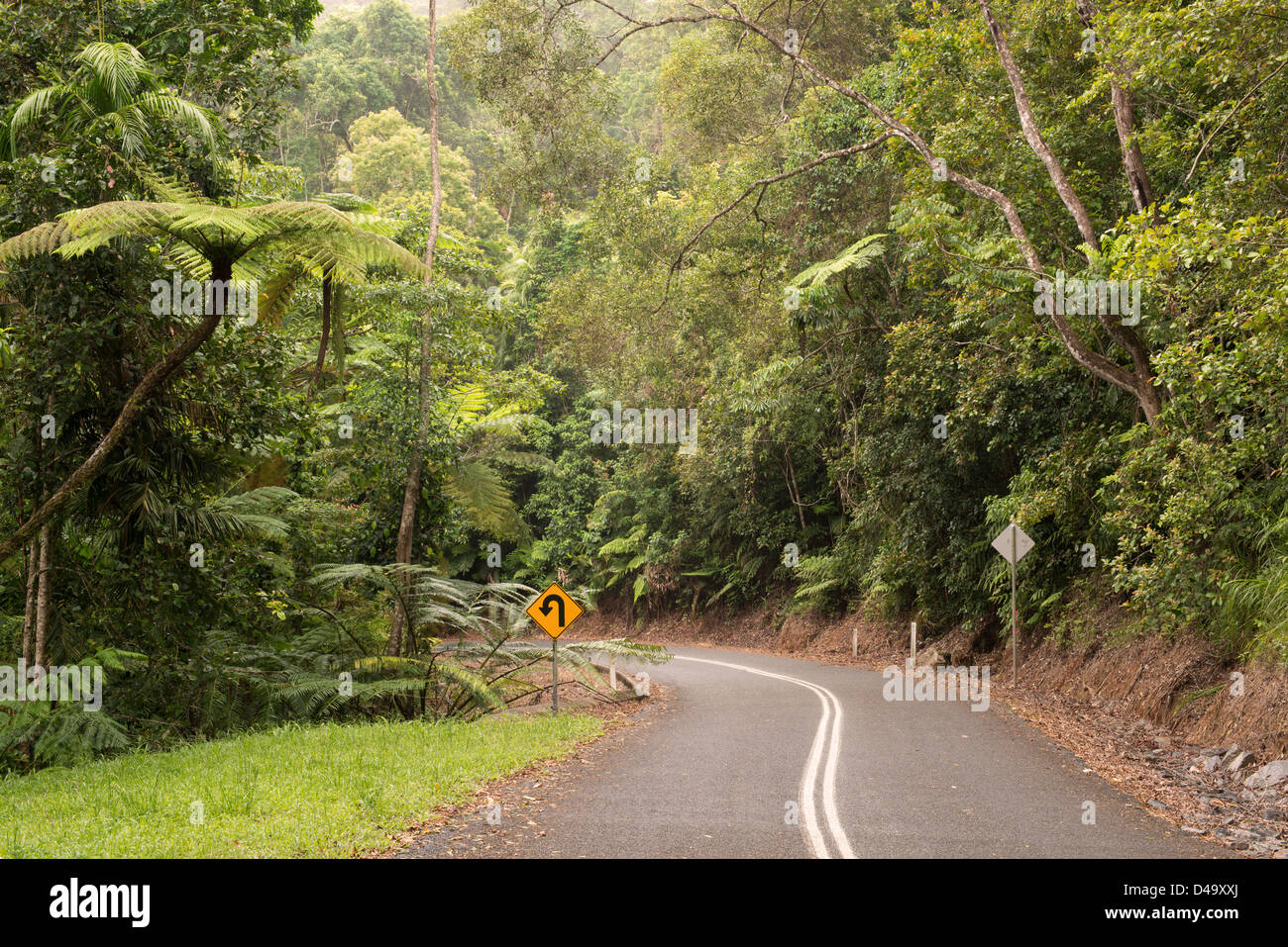 Il viaggio sul Lago di Morris Road, Cairns, estremo Nord Queensland, Australia Foto Stock