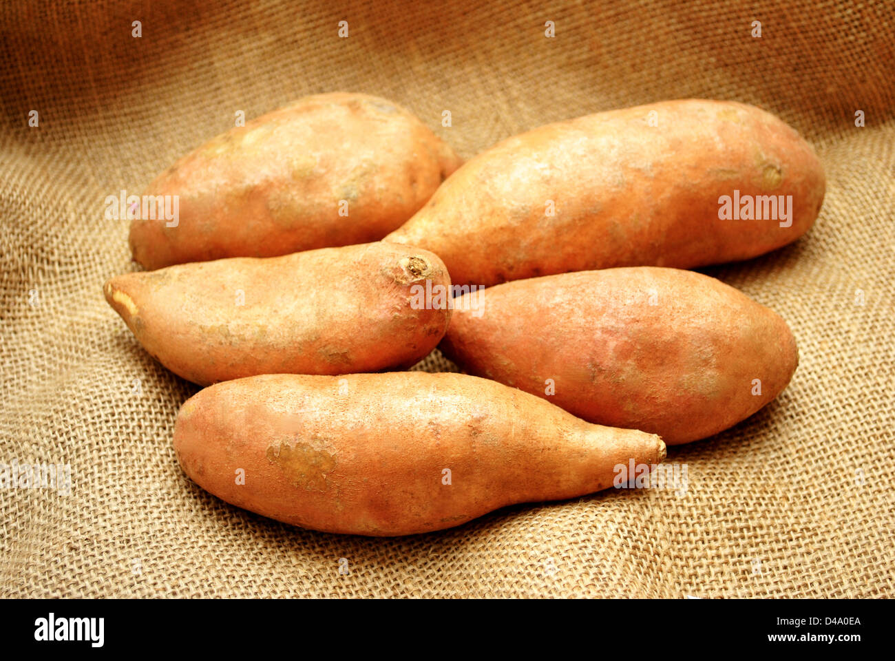 5 patate dolci su tela Foto Stock