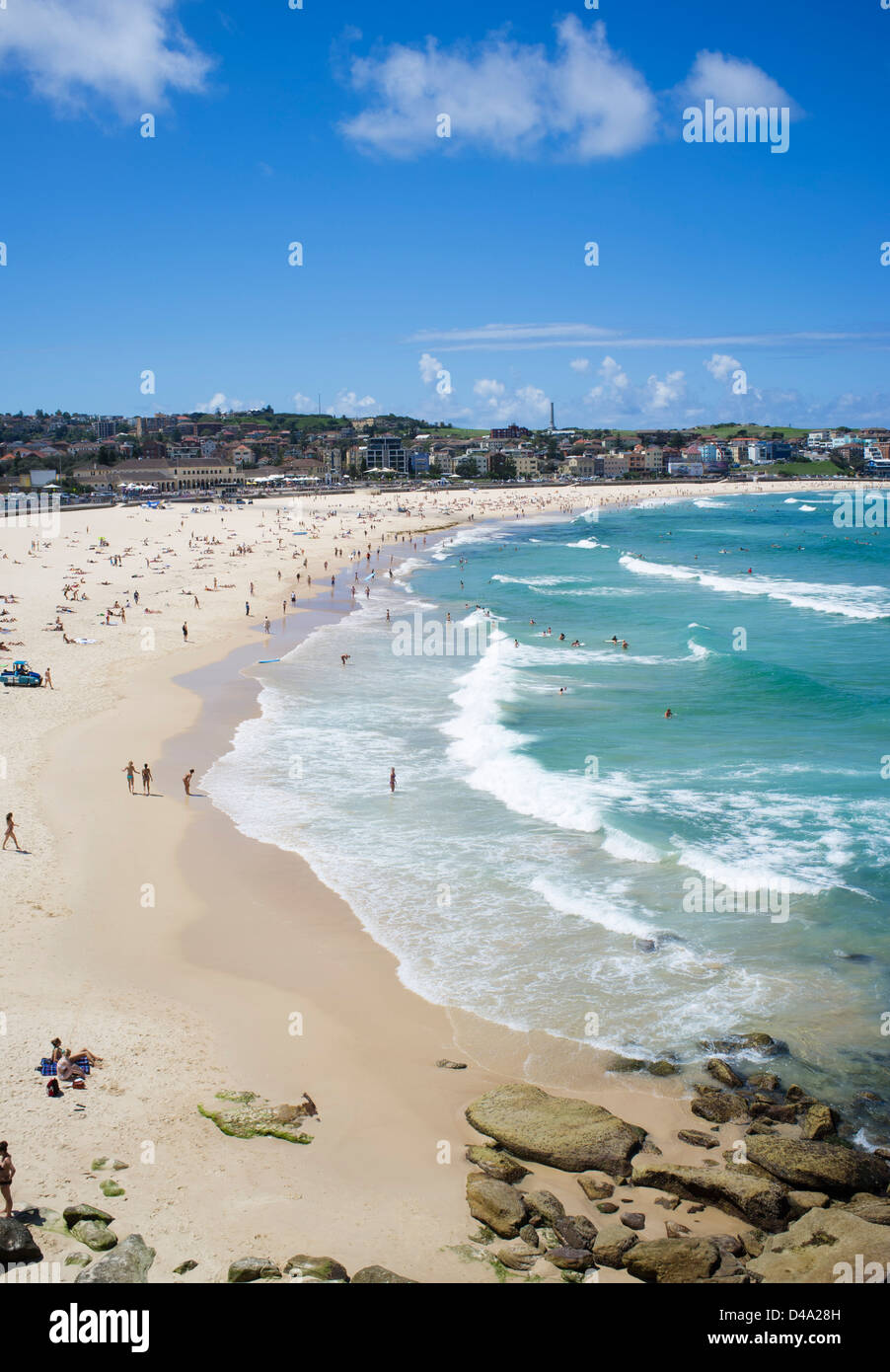 Vista estiva di Bondi Beach a Sydney nel Nuovo Galles del Sud in Australia Foto Stock