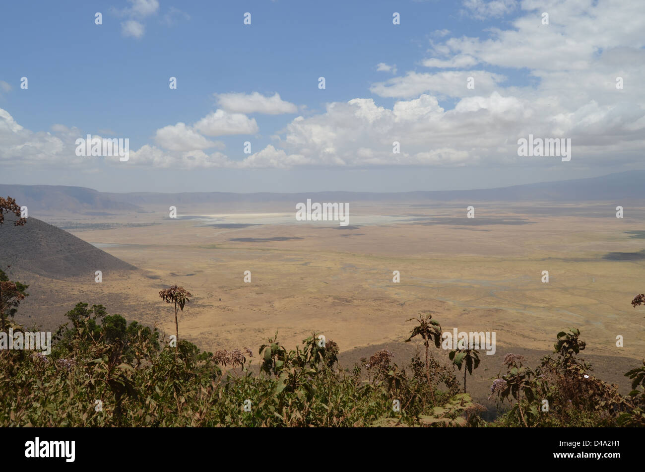 Una vista del cratere Ngorogoro interno, Tanzania Foto Stock