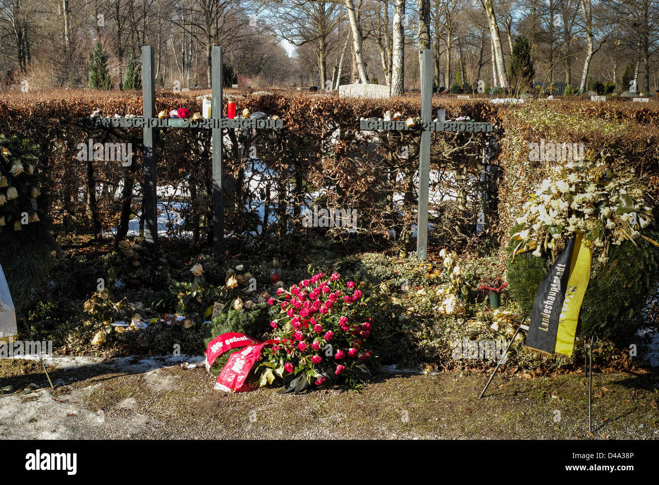 Tomba di Sophie Scholl, Hans Scholl e Christoph Probst dal White Rose resistenza di gruppo a Monaco di Baviera. Foto Stock