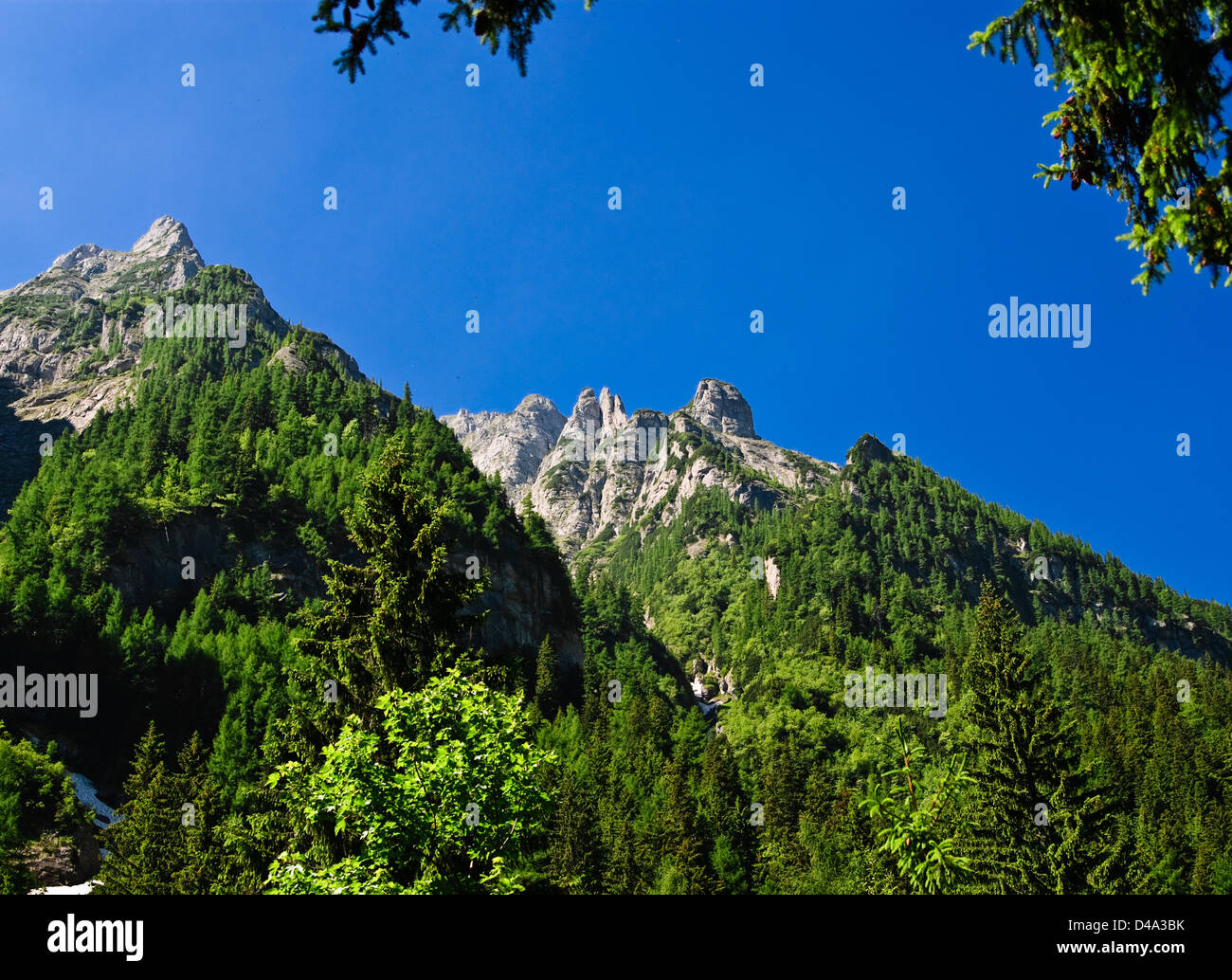 La natura del paesaggio in primavera Foto Stock