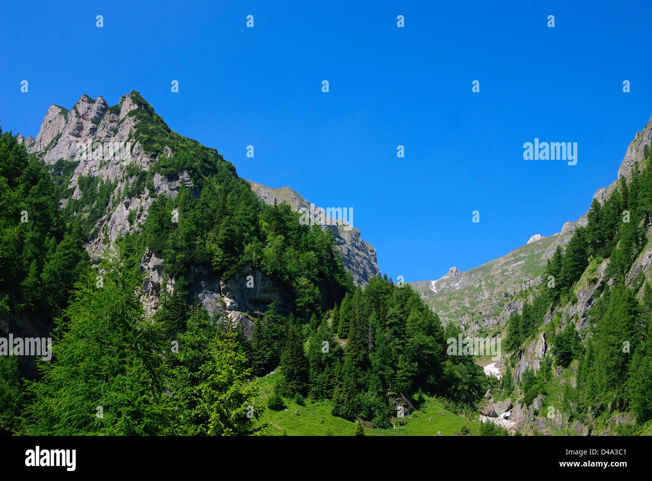 La natura del paesaggio in primavera Foto Stock