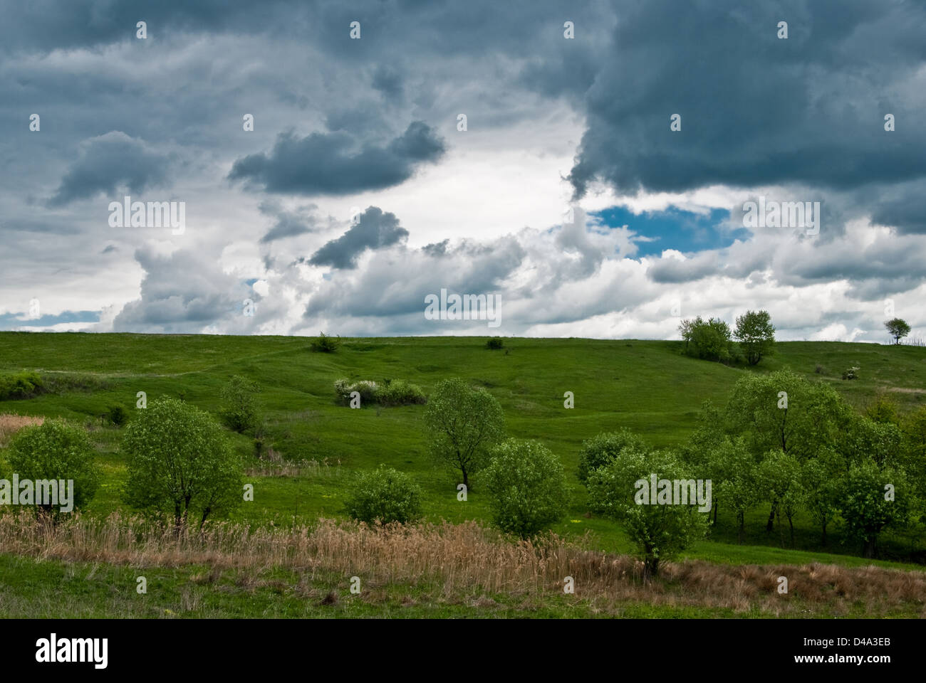 La natura del paesaggio in primavera Foto Stock