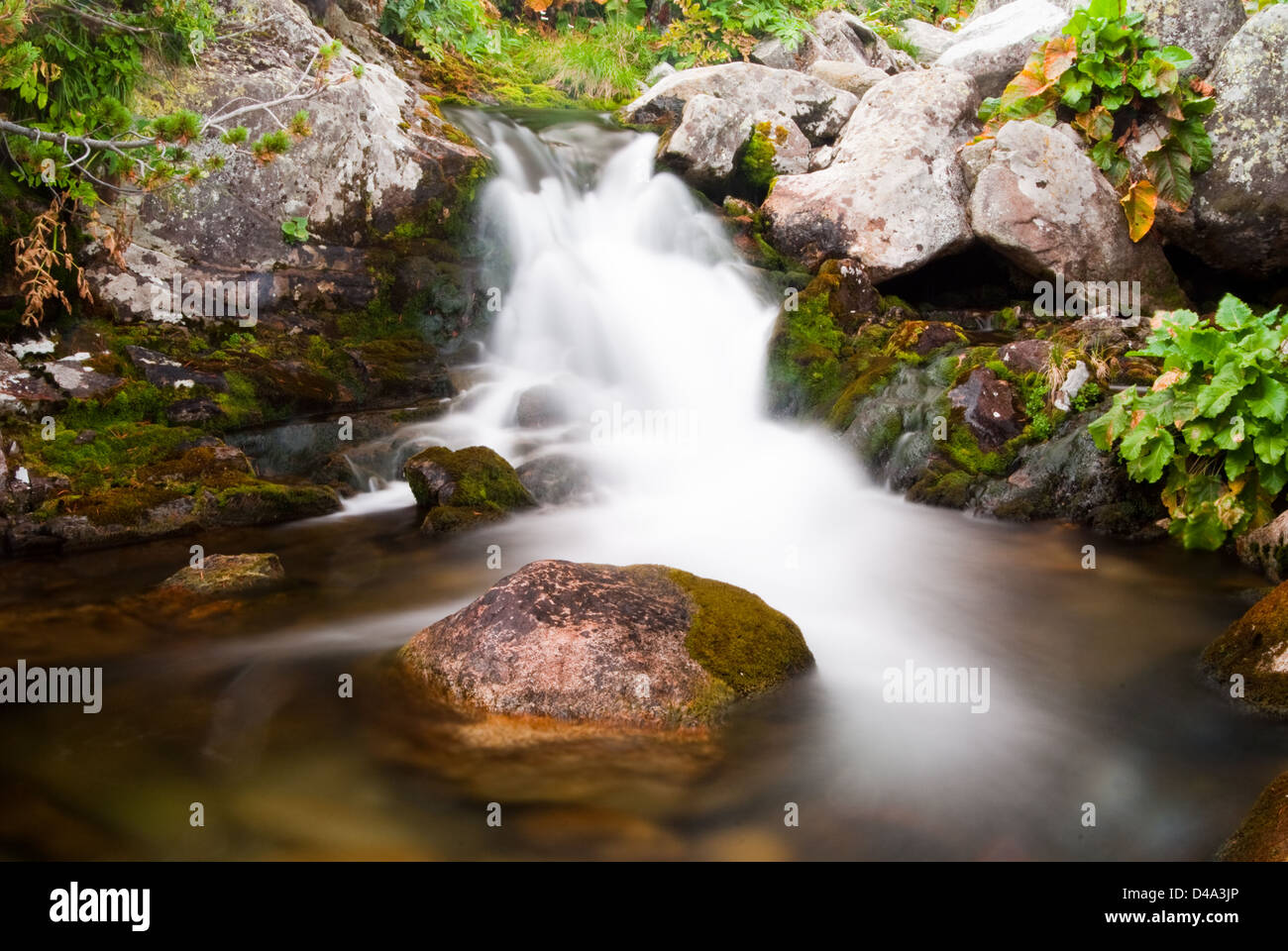 Watherfall sulle rive di un fiume in Retezat mountain Foto Stock