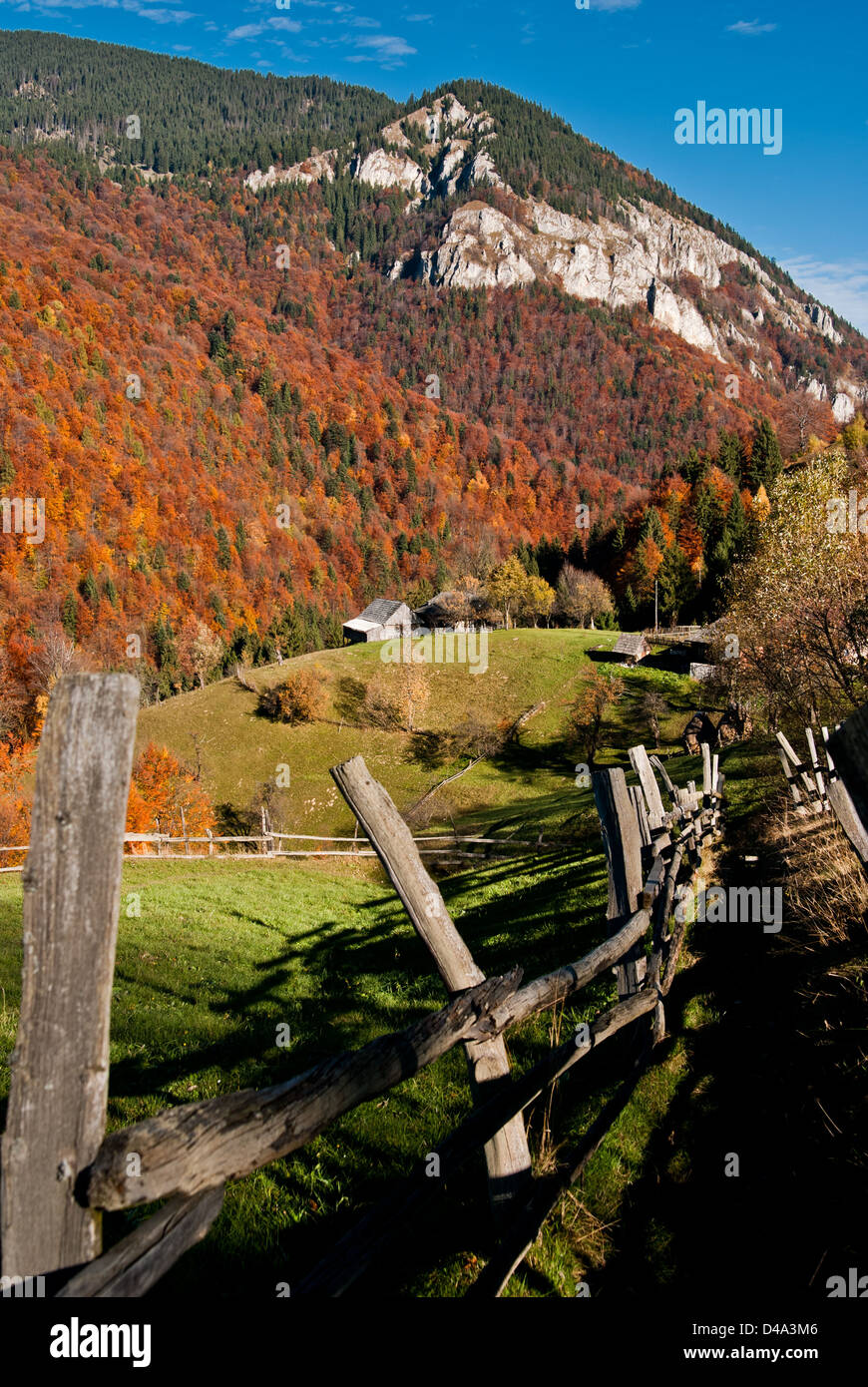 Paesaggio autunnale in un villaggio alpino (Romania) Foto Stock