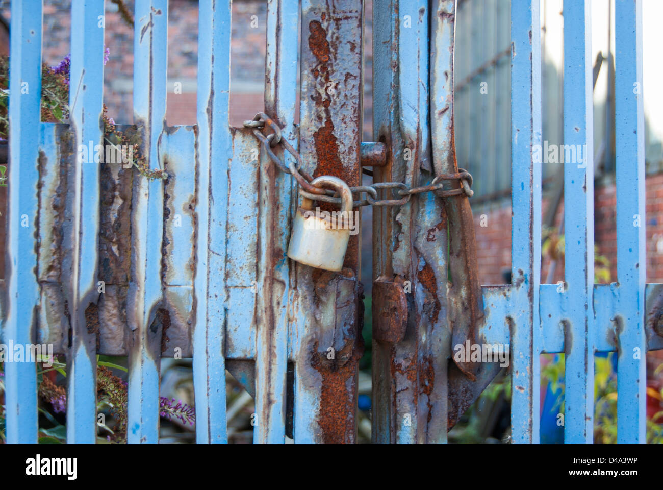 Il lucchetto della catena su un arrugginito recinzione blu Foto Stock