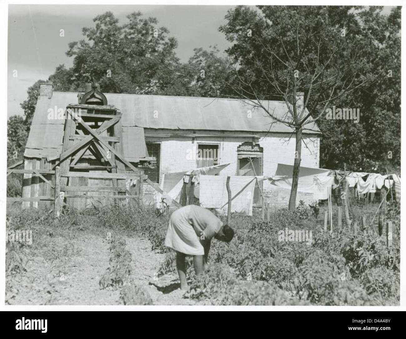 Questa immagine raffigura i vecchi quartieri degli schiavi in una piantagione nella Madison Parish, Louisiana, un tempo utilizzati dagli afroamericani schiavizzati. Essa mette in evidenza le condizioni di vita e la presenza di donne afroamericane impegnate nel lavoro agricolo. Foto Stock