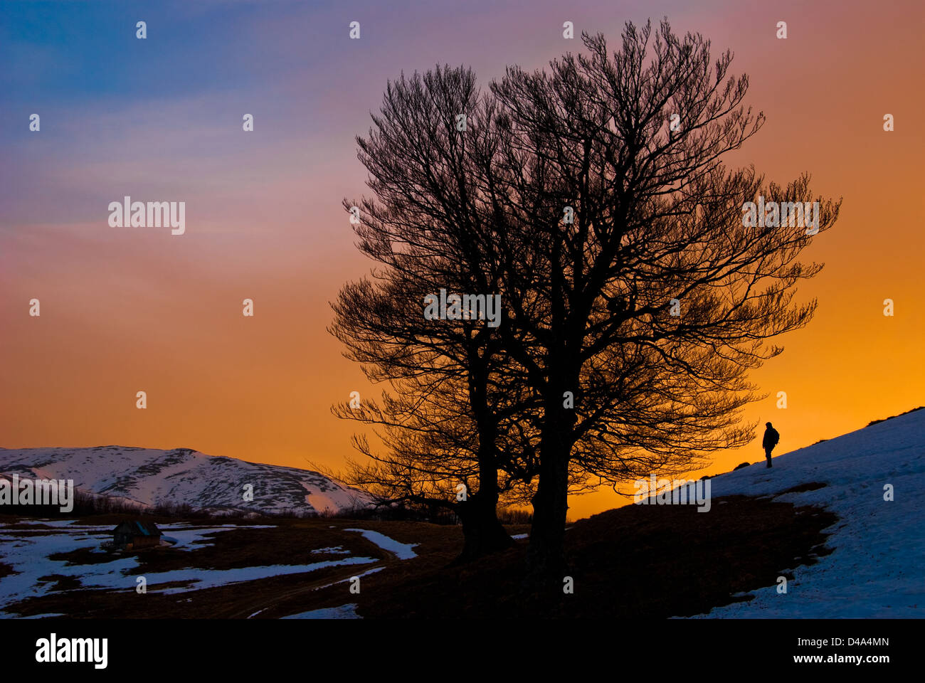 Ciucas mountain, Brasov, Romania: paesaggio di montagna durante il tramonto Foto Stock