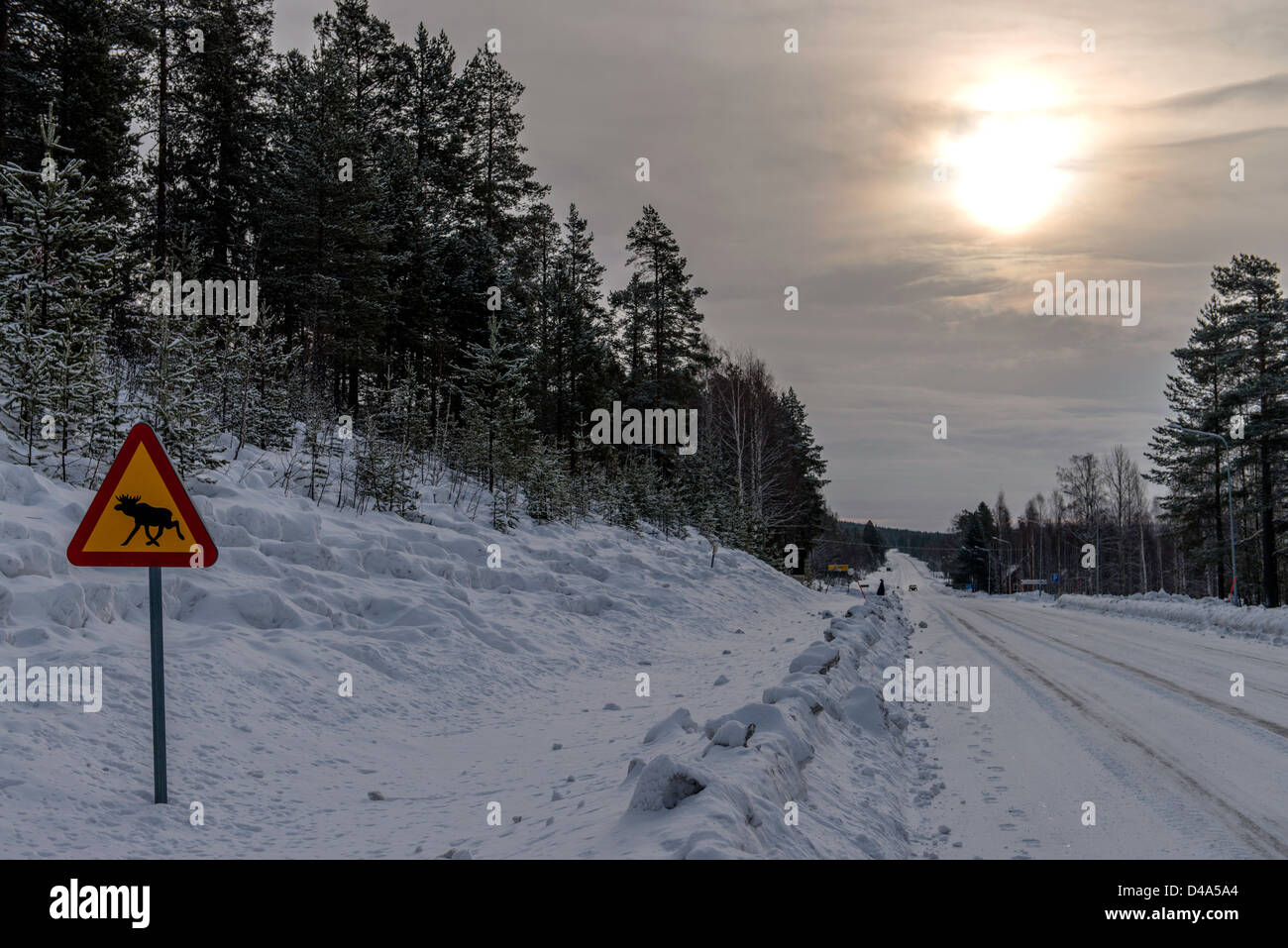 Segnale di avvertimento di attraversamento alci Lapponia Svezia Scandinavia Foto Stock