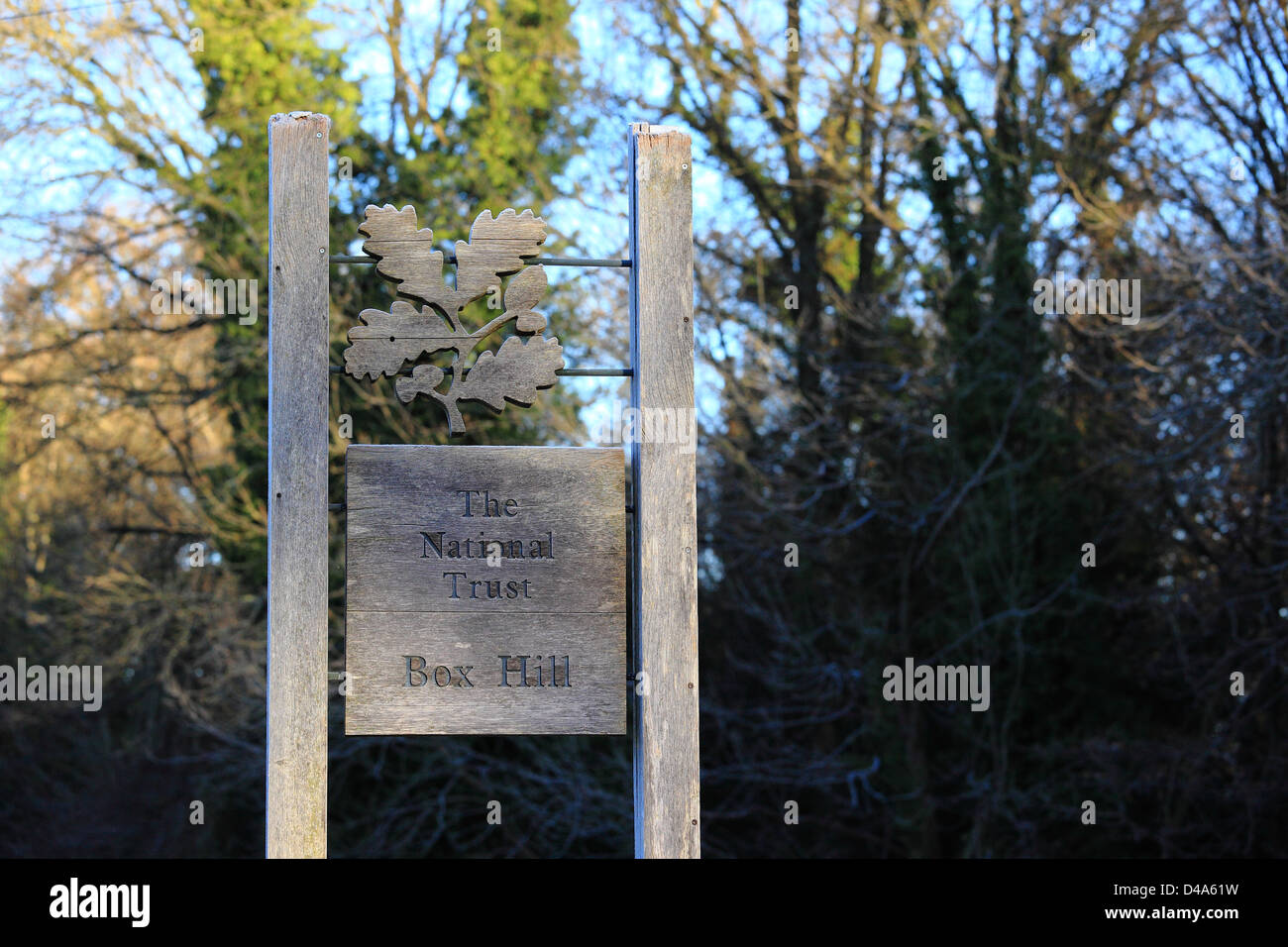 Il National Trust Box Hill sign in il gelo invernale, Inghilterra Foto Stock