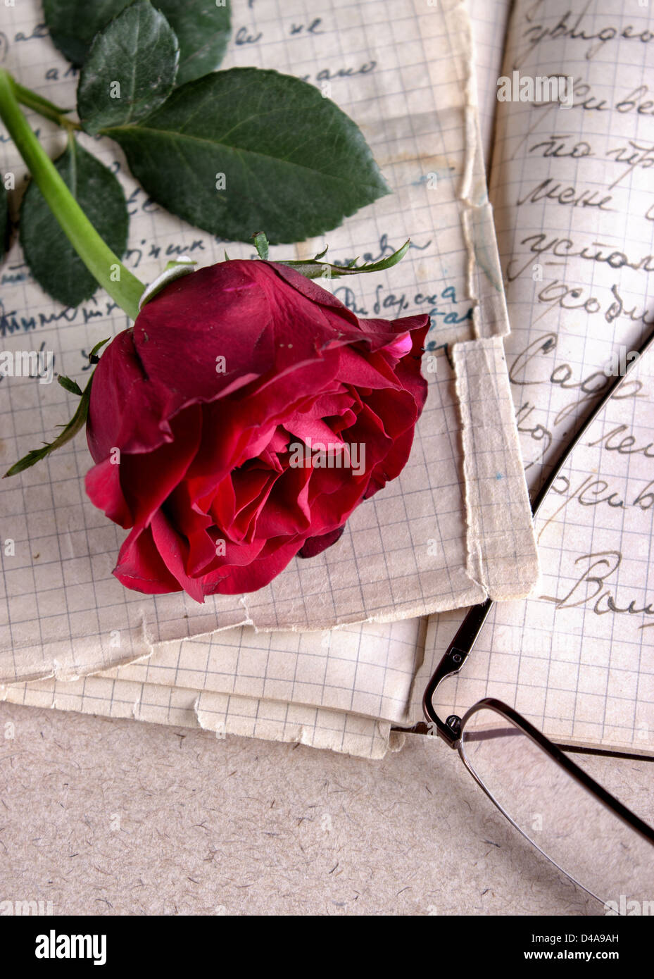 Una rosa rossa sulla vecchia carta.Lettera d'amore Foto stock - Alamy