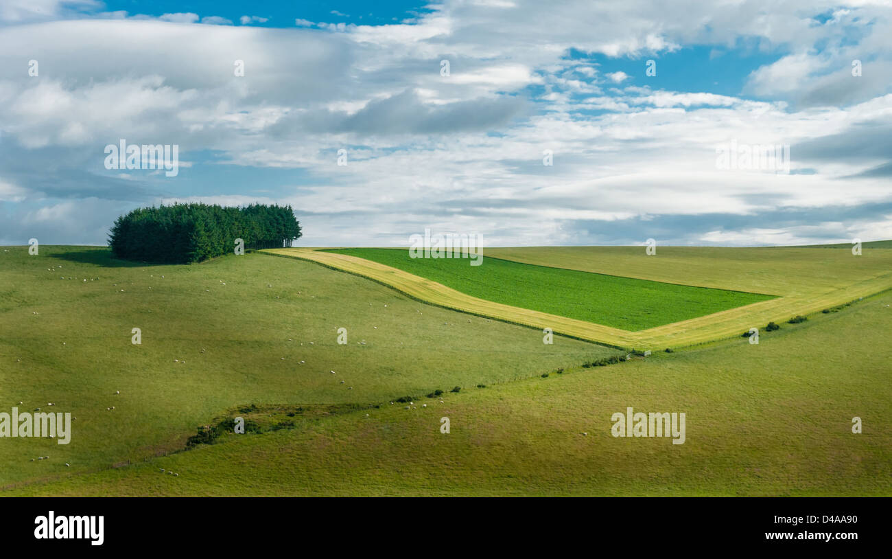 Campi di Highland Scozia Scotland Foto Stock