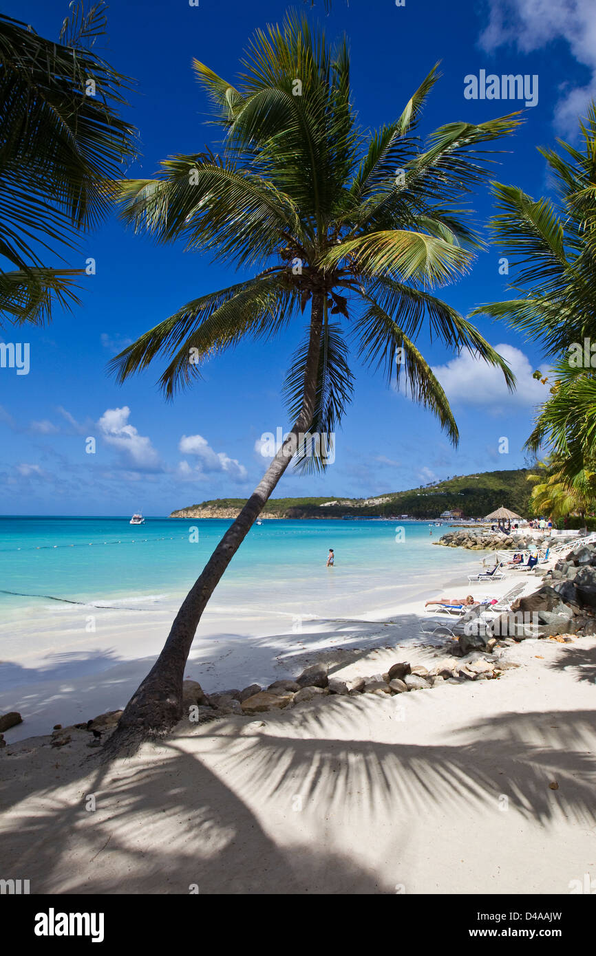 Dickinson Bay Palme insieme contro il mare dei Caraibi nell'isola di Antigua, West Indies Foto Stock