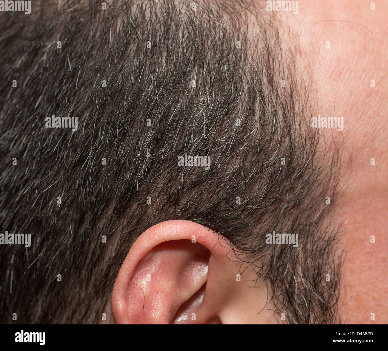 Capelli grigi Foto Stock