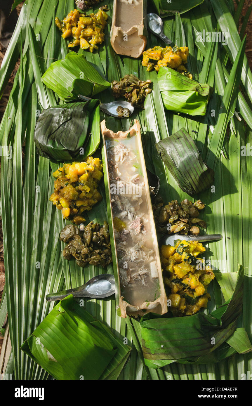 Jungle curry serviti su un trekking nel nord del Laos Foto Stock