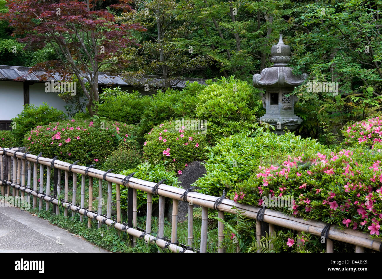 Lanterna di pietra e Recinto di bambù con cespugli di azalea nel paesaggio giardino giapponese Kawasaki, Giappone Foto Stock