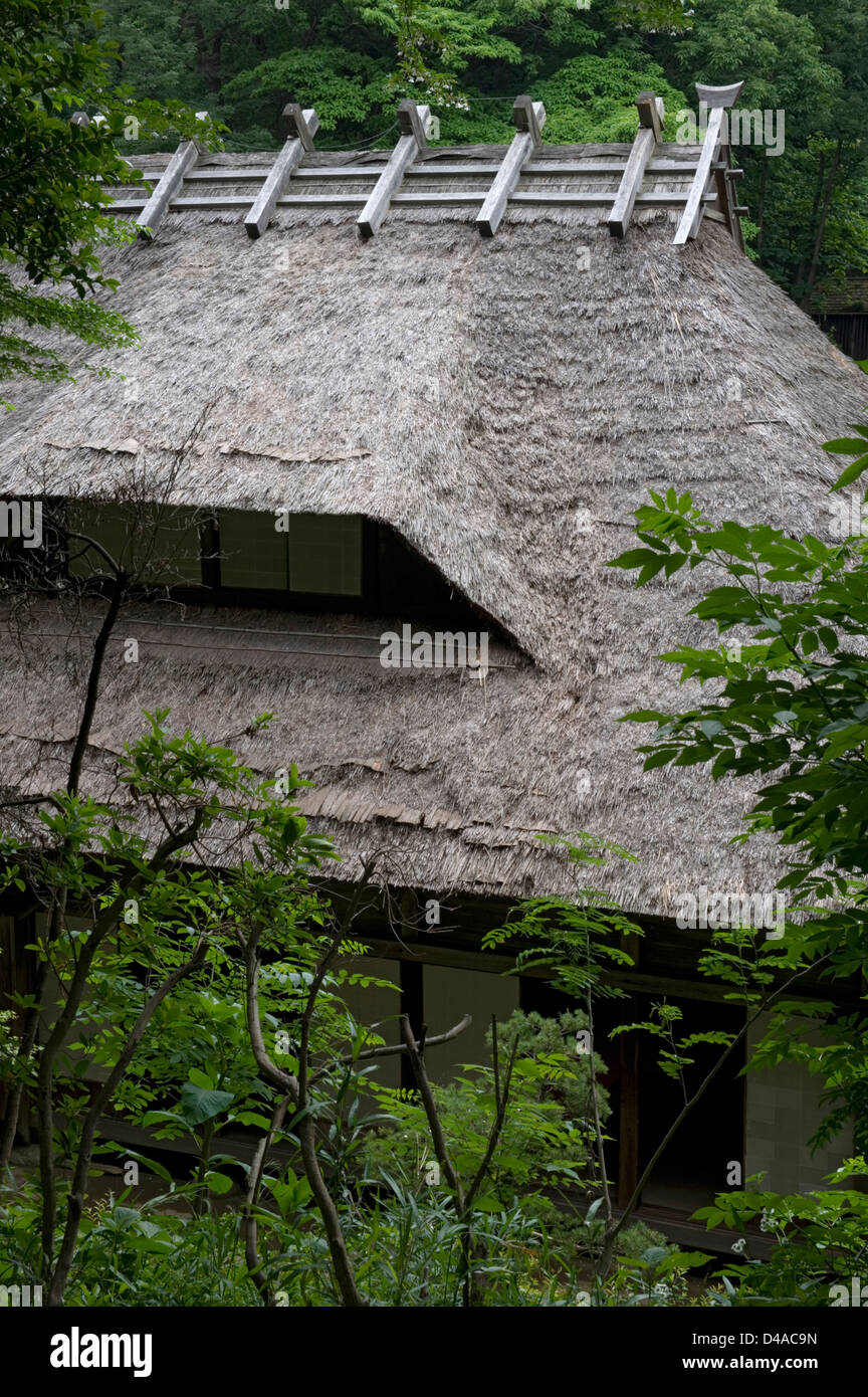 Kayabuki storico con tetto di paglia villaggio agriturismi in impostazione della foresta presso la Nihon Minkaen open-air folk museum in Kawasaki Foto Stock