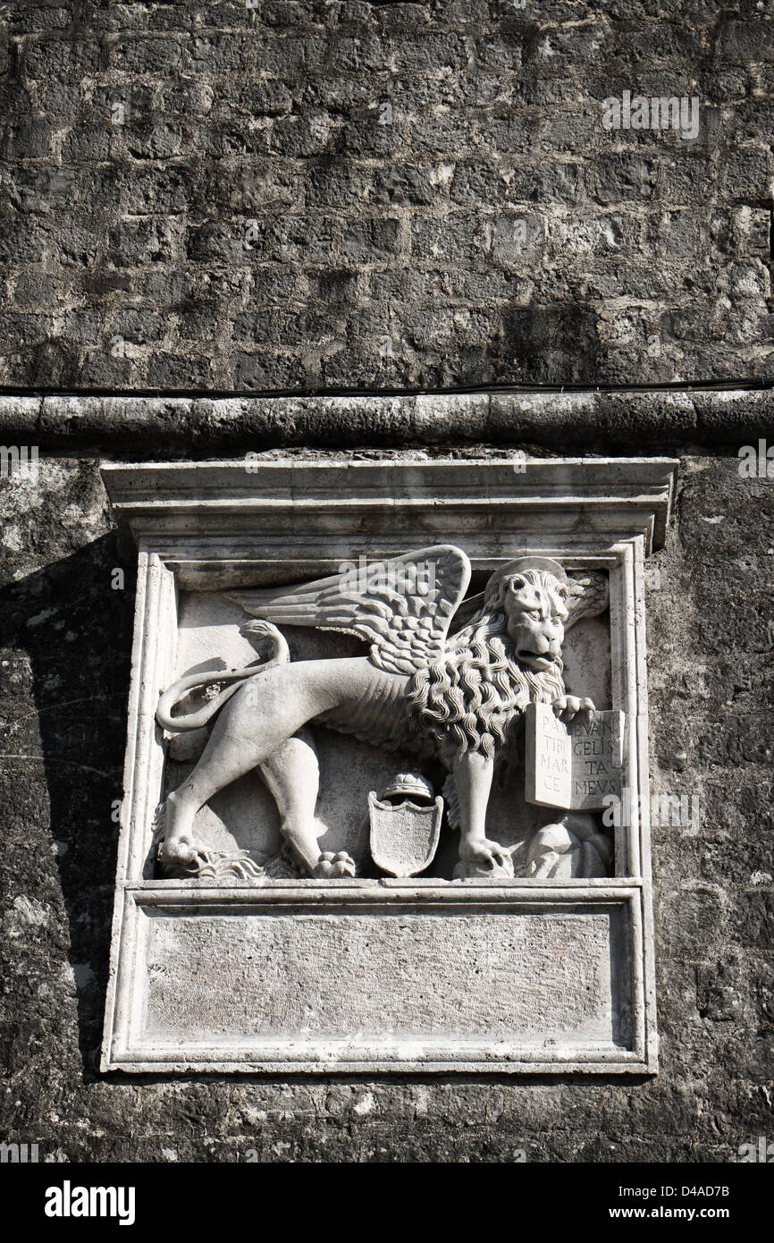 Scultura di sfiato del veneziano leone alato, scolpito in marmo, posti sul muro di difesa della città di Kotor, Montenegro Foto Stock
