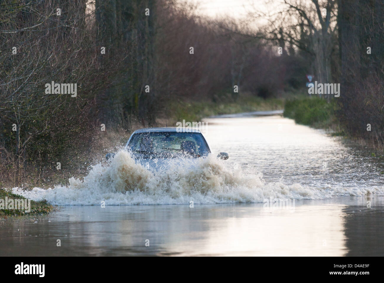 Vettura ottenendo inondato come si tenta di guidare attraverso il diluvio su strada ha guidato nel Somerset livelli tra Glastonbury e Street Foto Stock