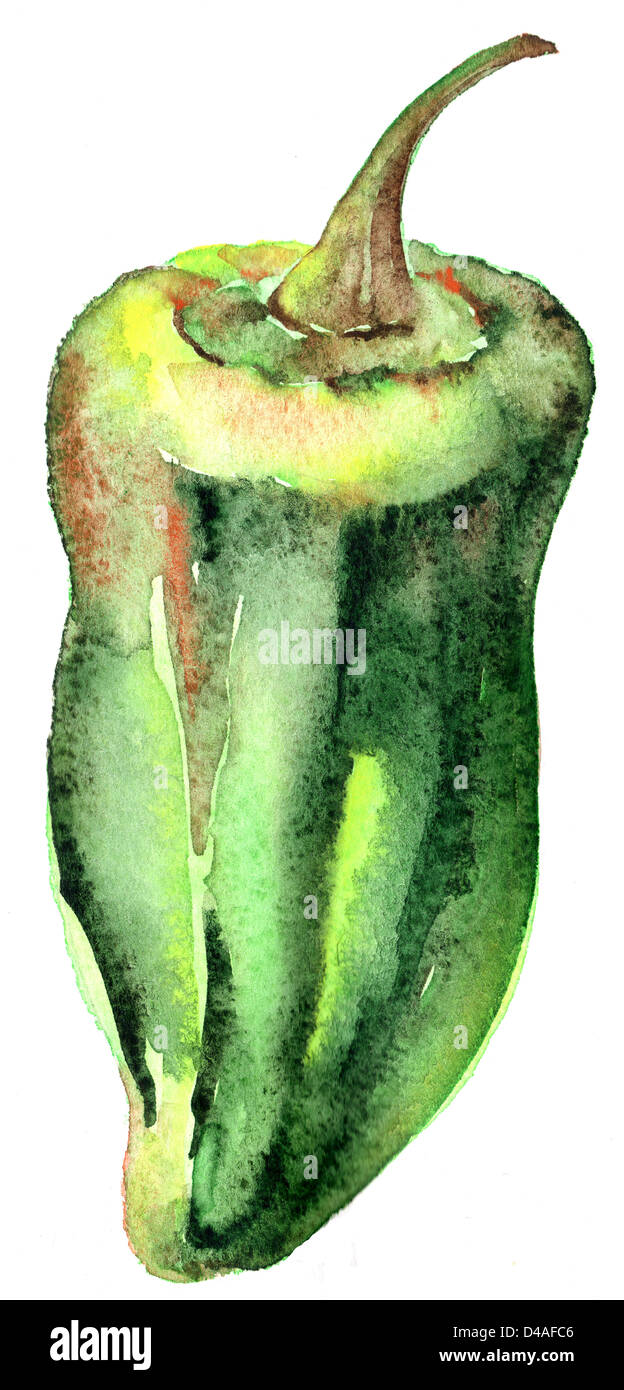 Peperone verde in acquerello Foto Stock