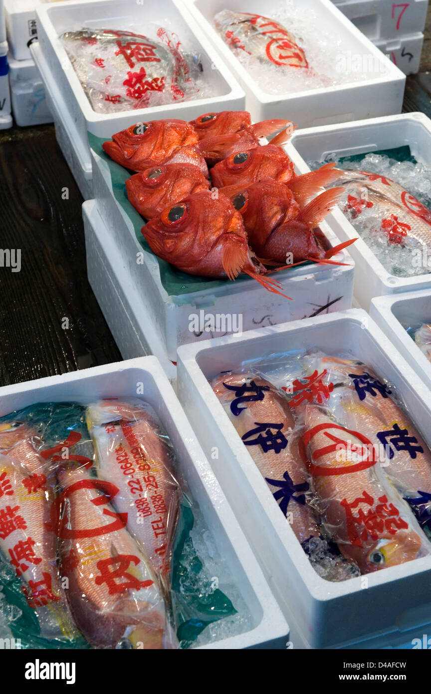 Pesce fresco fresco su ghiaccio nella vendita al dettaglio a Tsukiji Commercio all'ingrosso Mercato del Pesce, la più grande del mondo al mercato del pesce di Tokyo Foto Stock