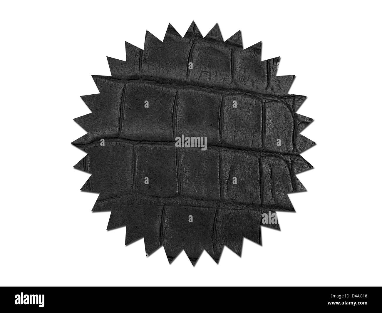 Un'immagine ravvicinata della pelle Foto Stock