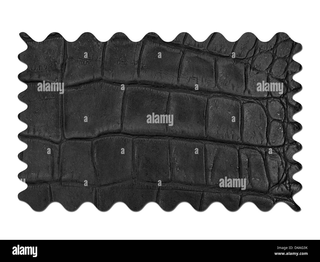 Un'immagine ravvicinata della pelle Foto Stock