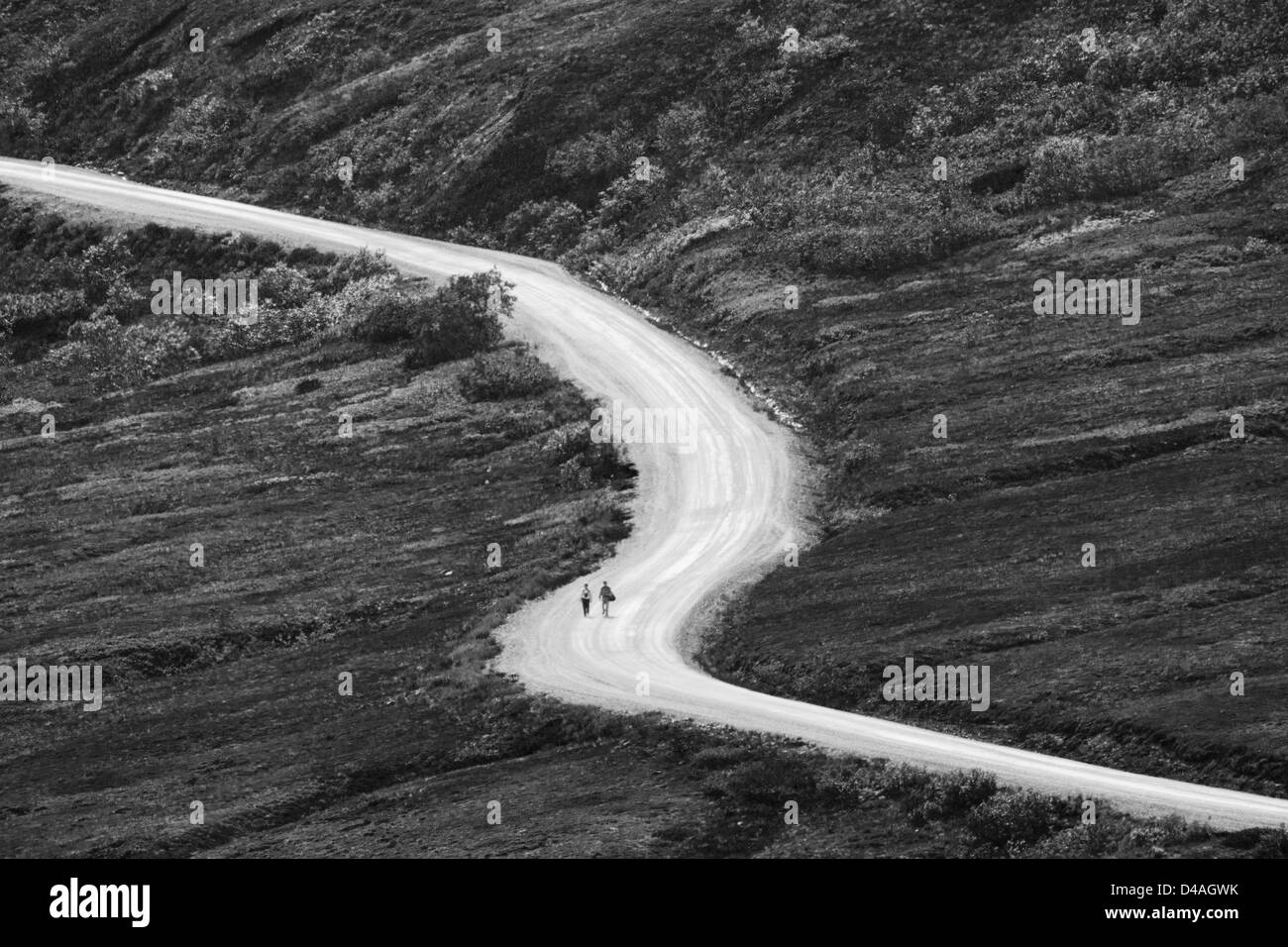 Distante in bianco e nero, due visitatori escursione lungo una sezione remota del Denali Road, Denali National Park & Preserve, Alaska, STATI UNITI D'AMERICA Foto Stock