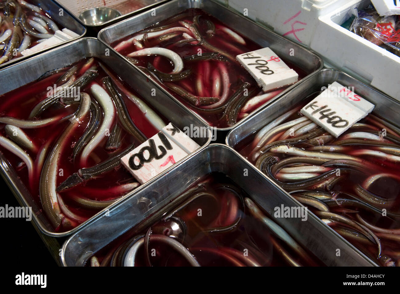 Bloody anguille per la vendita all ingrosso Tsukiji Mercato del Pesce, la più grande del mondo al mercato del pesce a Tokyo in Giappone Foto Stock