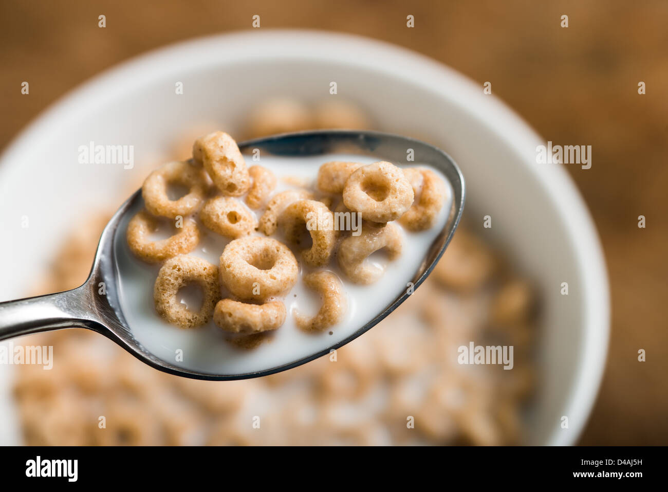 Un cucchiaio pieno di prima colazione cheerios con il latte. Foto Stock