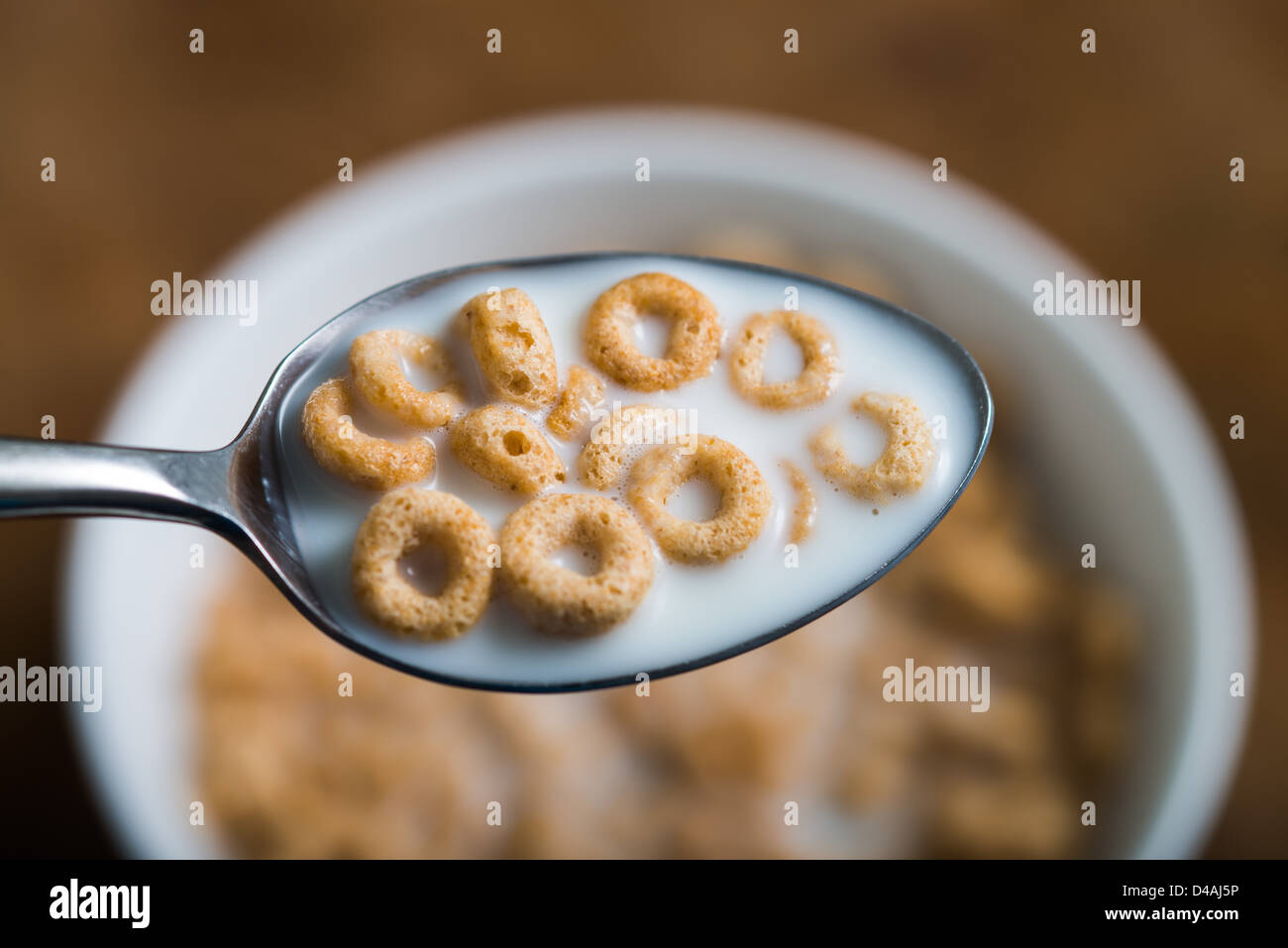 Un cucchiaio pieno di prima colazione cheerios con il latte. Foto Stock