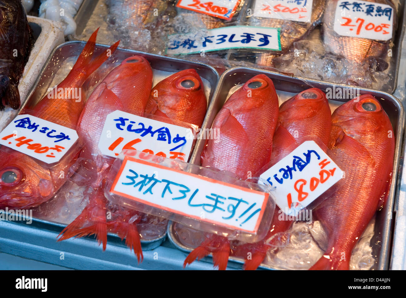 Lutiano rosso in vendita vicino Tsukiji Commercio all'ingrosso Mercato del Pesce, la più grande del mondo al mercato del pesce a Tokyo in Giappone. Foto Stock