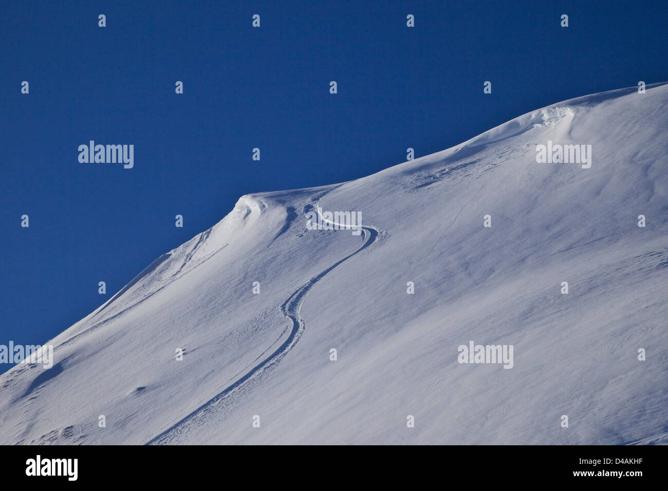 Piste da sci in neve profonda, La Plagne, Francia, Europa Foto Stock
