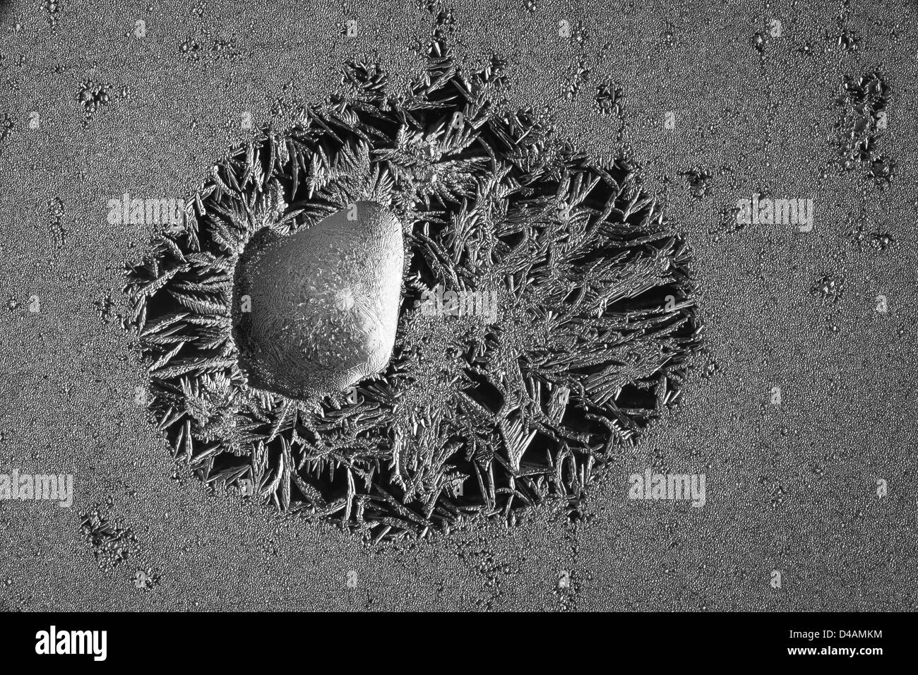 Arty frost rose su una finestra, Norvegia. Foto Stock
