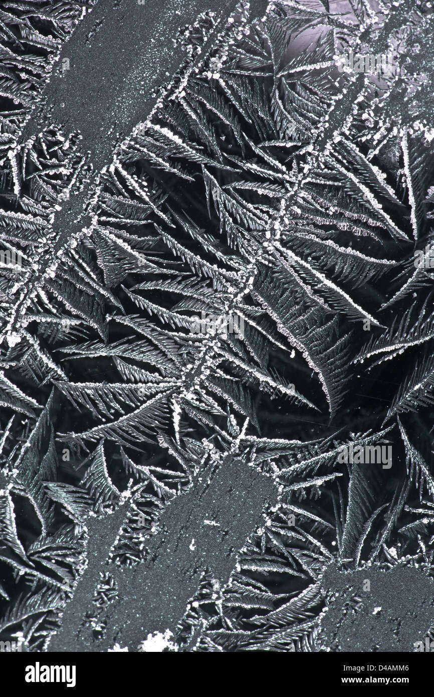 Arty frost rose su una finestra, Norvegia. Foto Stock