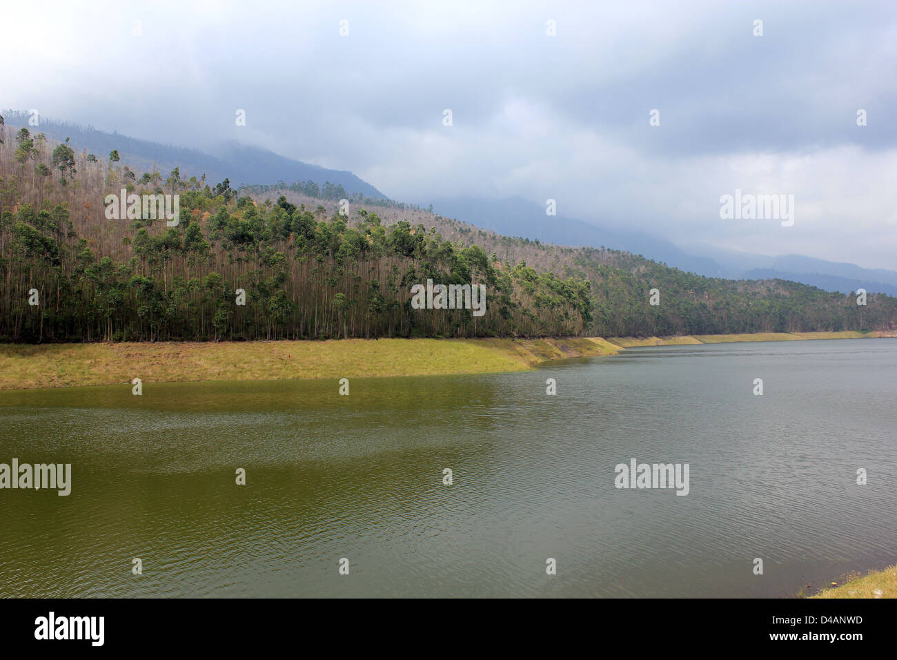 Lago di Thekkady Foto Stock