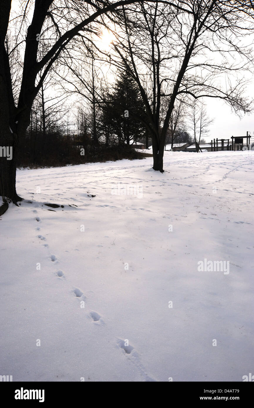 Una serie di deerprint vengono catturate in un paesaggio innevato. Questa immagine è stata catturata dalla NASA come parte dei suoi sforzi di osservazione ambientale, tracciando i movimenti della fauna selvatica e studiando i fenomeni naturali attraverso la ricerca satellitare e sul campo. Foto Stock