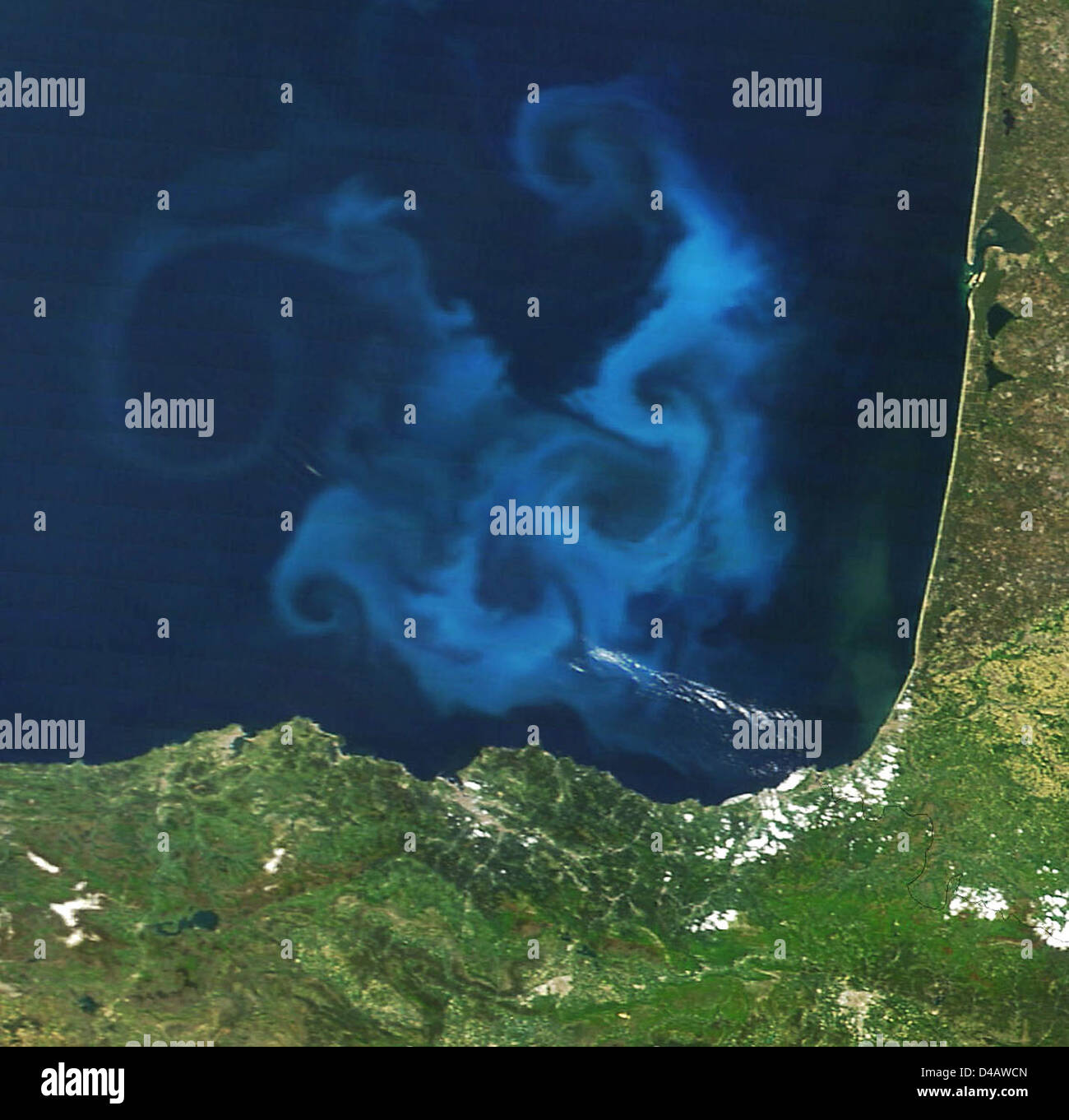 Bloom Fitoplanctonico nel Golfo di Biscaglia [dettaglio] Foto Stock