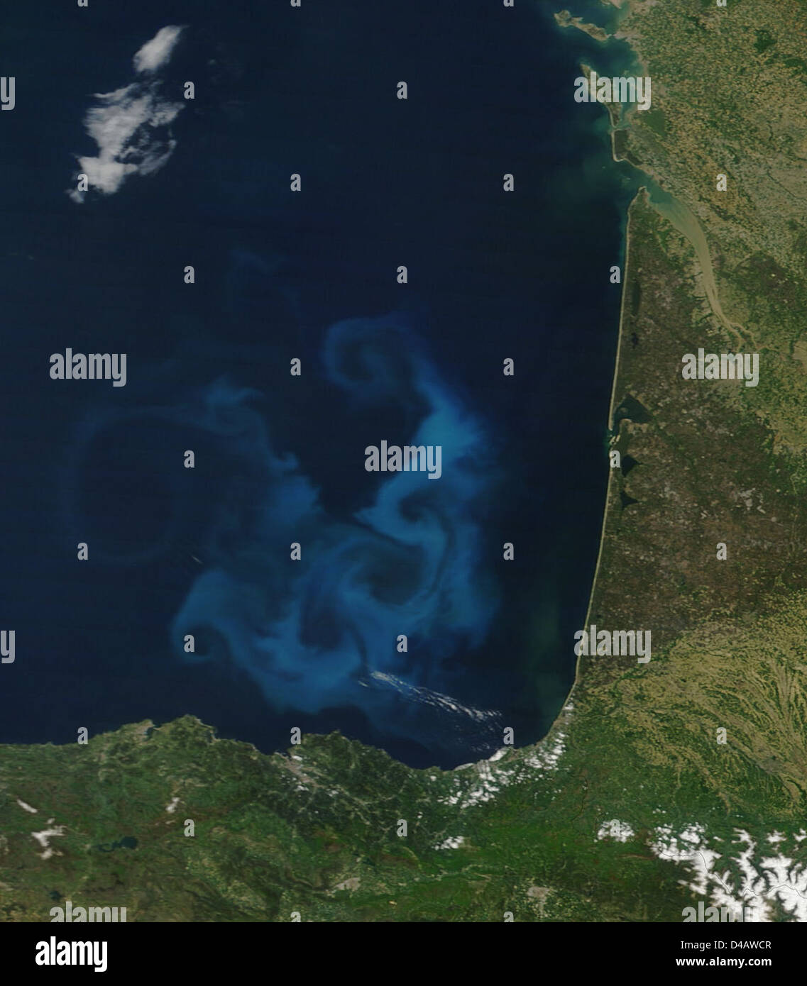 Bloom fitoplanctonico nel Golfo di Biscaglia Foto Stock