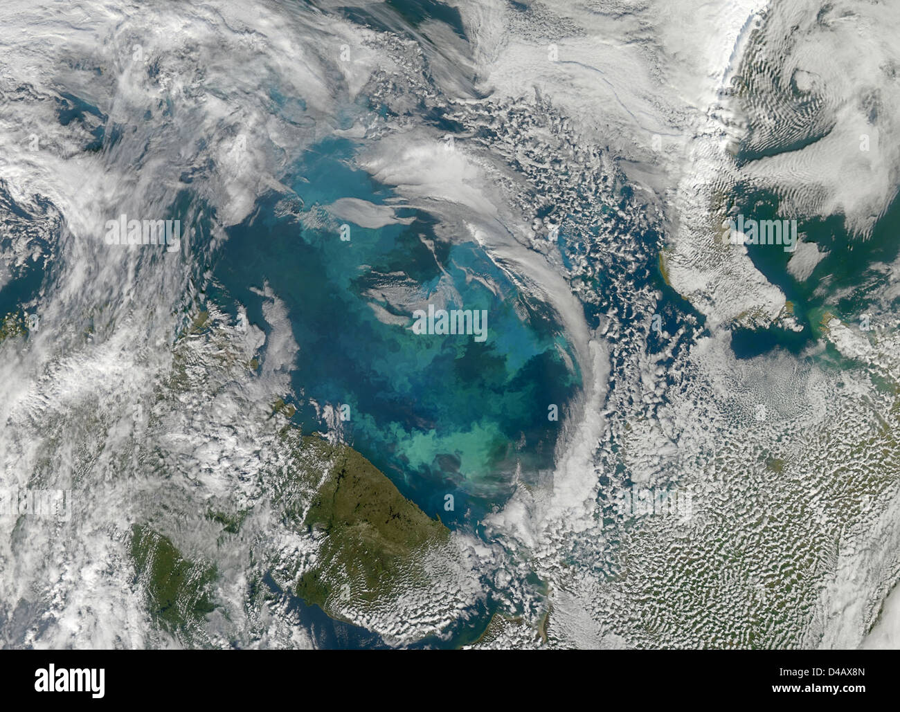 Bloom Fitoplanctonico nel Mare di Barents Foto Stock