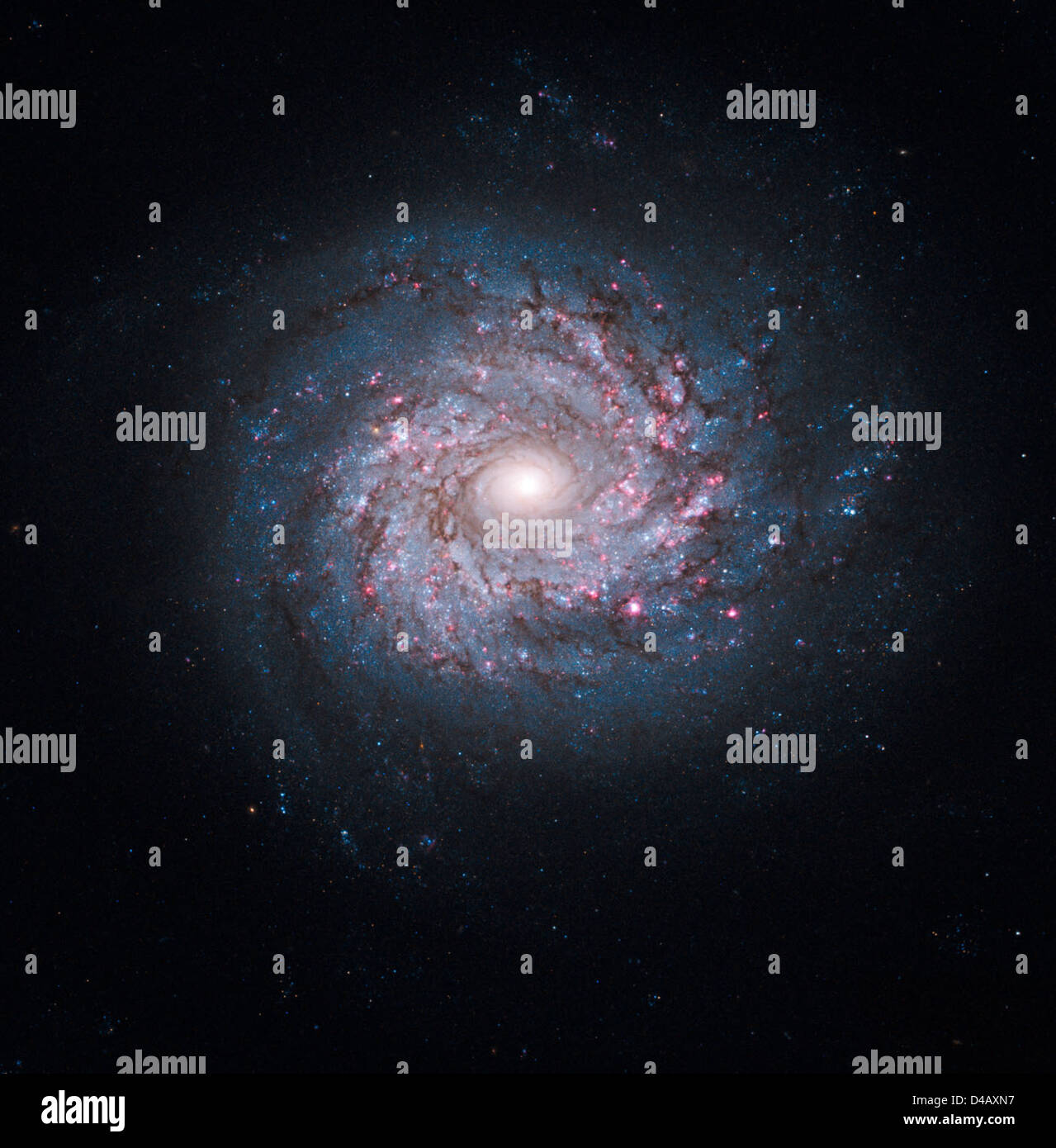 L'immagine di Hubble della Galassia Pinwheel rivela aree di formazione stellare, offrendo approfondimenti sui processi di nascita stellare e sulle dinamiche di una galassia a spirale. Foto Stock