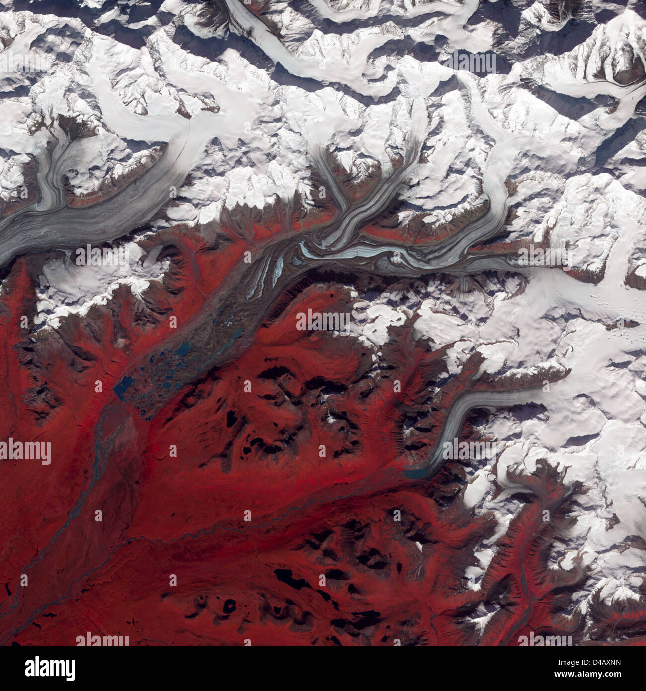 Susitna Glacier, Alaska Foto Stock